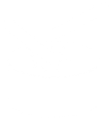 Default skin: mode-taiko.png